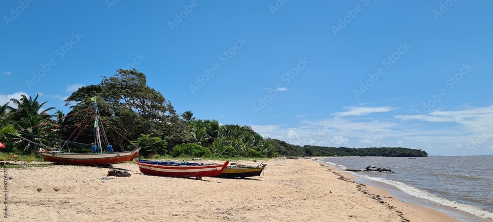 Fototapeta premium beach with palm trees