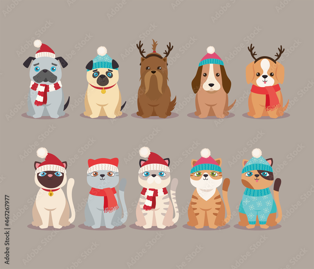 Obraz na plátně ten cute christmas pets