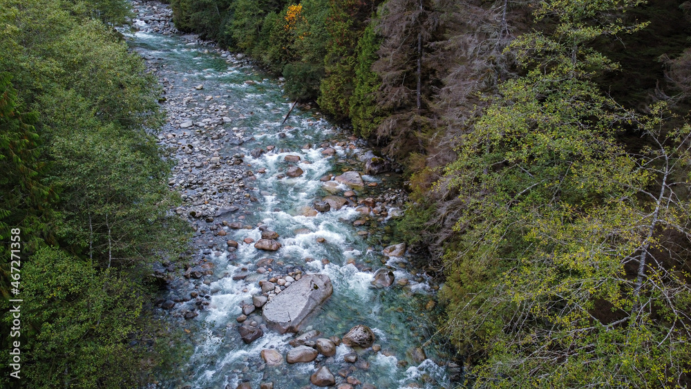 Arial view of a beautiful stream run down the creek by the forest Arial view of a beautiful stream run down the creek by the forest