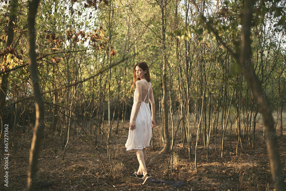 pretty woman in white dress walks in the forest nature rest pretty woman in white dress walks in the forest nature rest