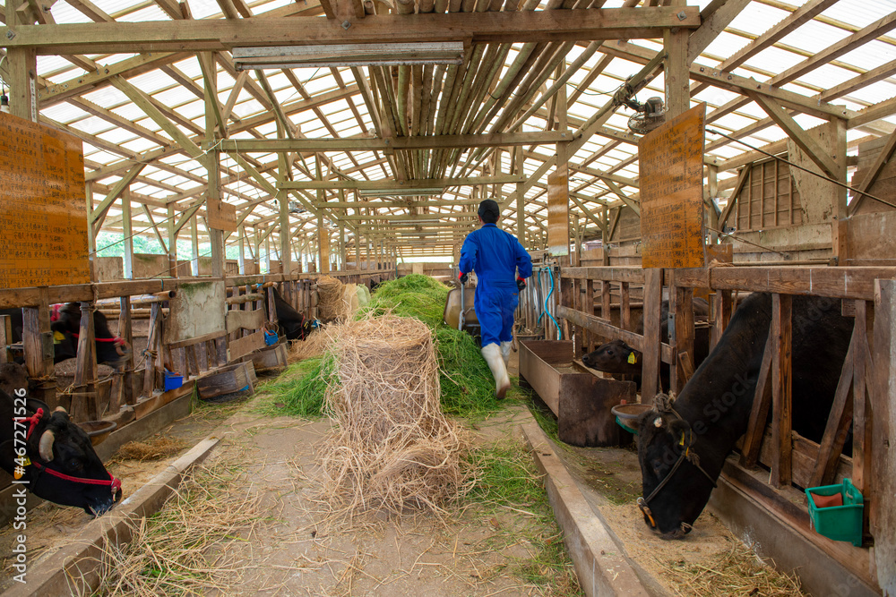 workers at work