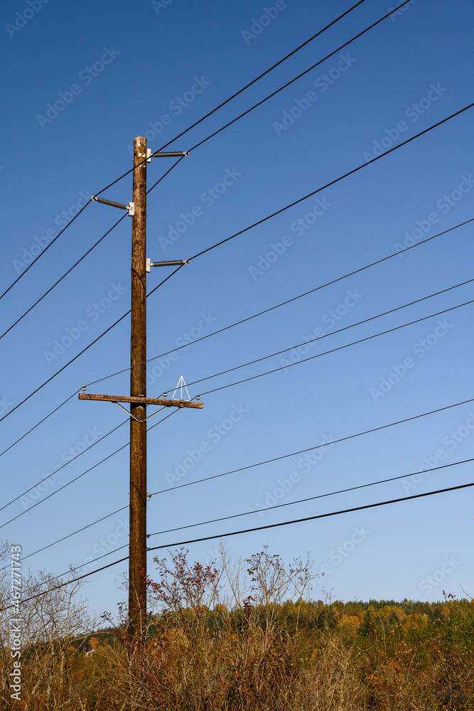 Multiple power lines strung at various heights on a wooden pole on a sunny blue-sky day
