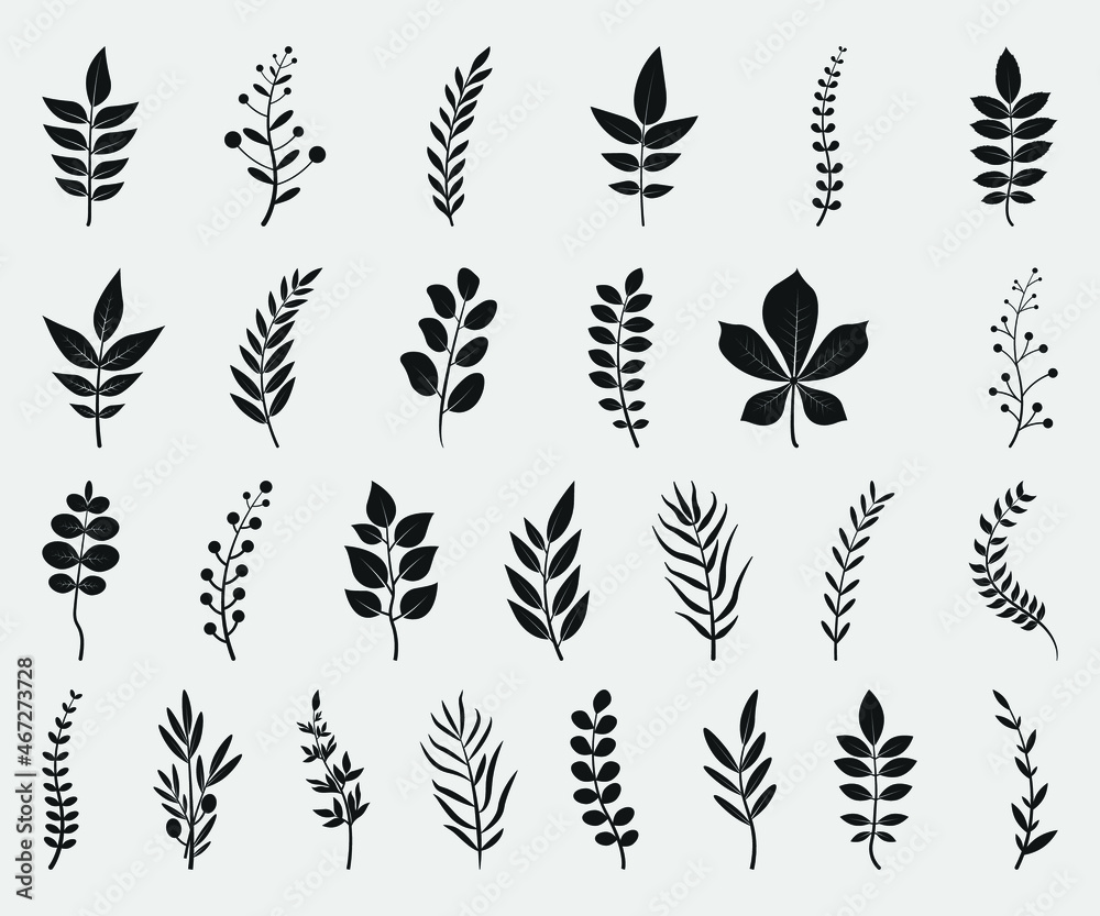 Leaves Printable Vector Illustration. Set of tree branches vector illustrations.