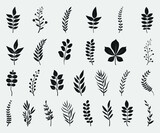 Leaves Printable Vector Illustration. Set of tree branches vector illustrations.