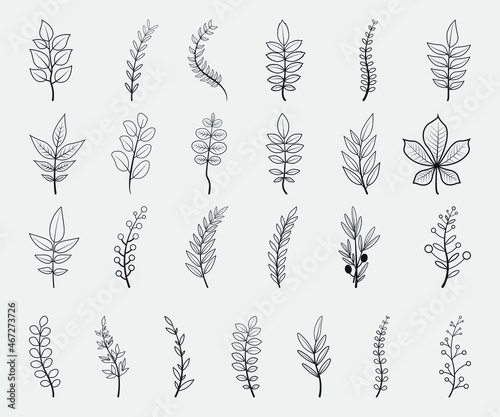 Leaves Printable Vector Illustration. Set of tree branches vector illustrations.