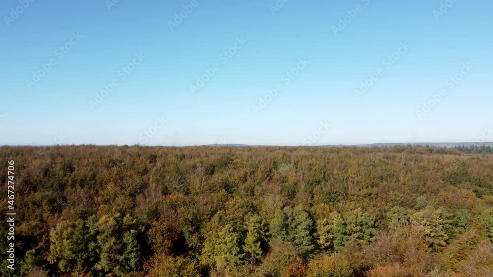 Flying over forest with autumn colours and clear blue sky. Flying over forest with autumn colours and clear blue sky.