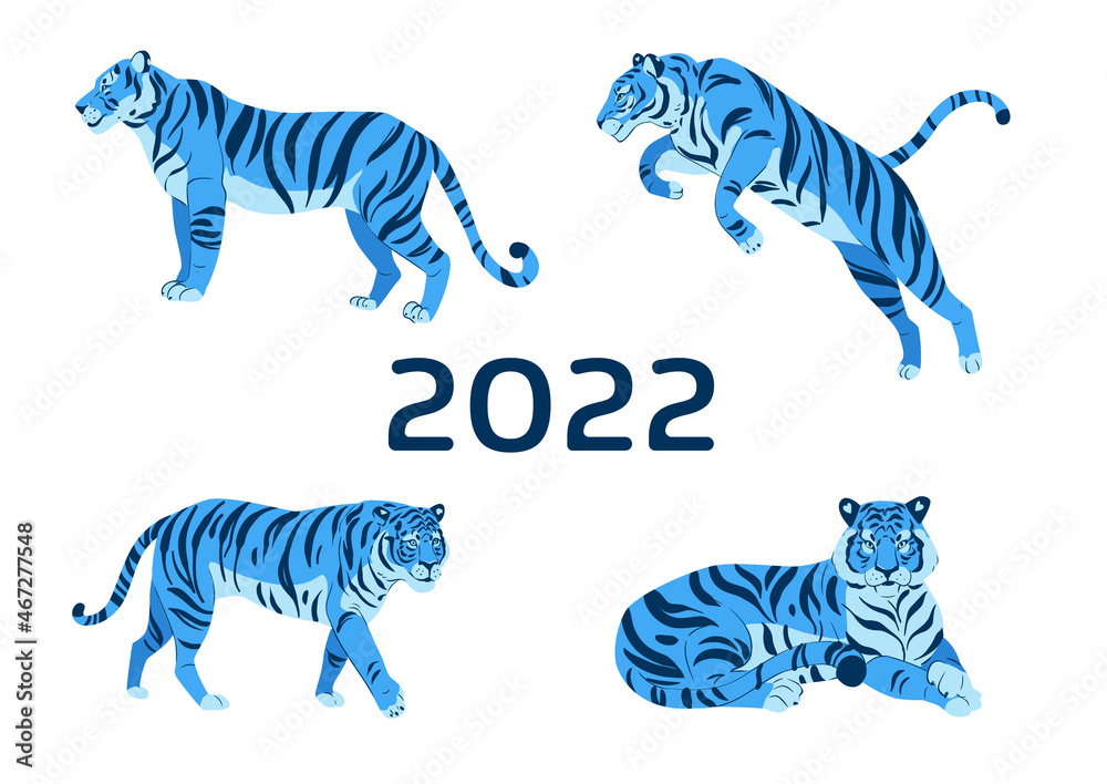 Obraz premium Set of adult big blue tiger vector flat illustration isolated on white background