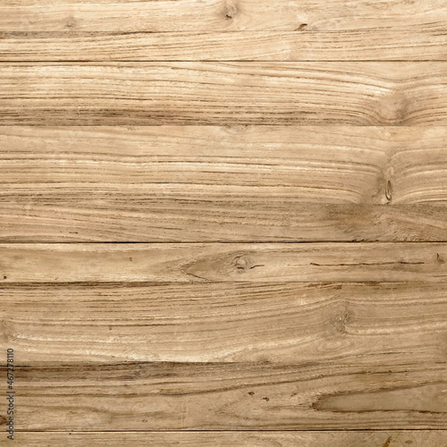 Oak wood textured background vector