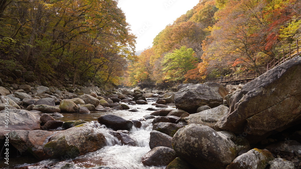 Beautiful autumn valley scenery in Korea Beautiful autumn valley scenery in Korea