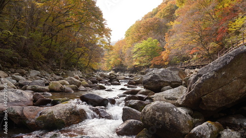 Beautiful autumn valley scenery in Korea © Shin sangwoon