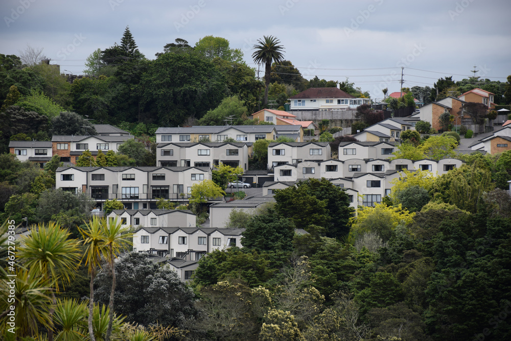 Obraz premium Modern medium density apartment homes on a hillside in Auckland, New Zealand