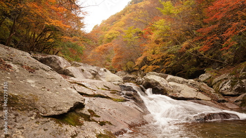 Fototapeta Naklejka Na Ścianę i Meble -  Beautiful autumn valley scenery in Korea