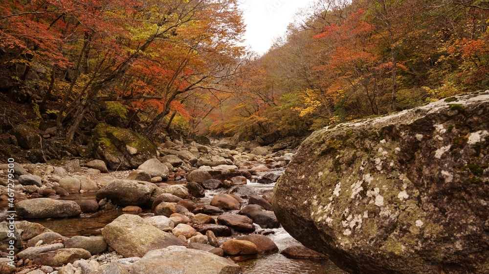 Beautiful autumn valley scenery in Korea Beautiful autumn valley scenery in Korea