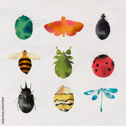 Insects watercolor collection vector