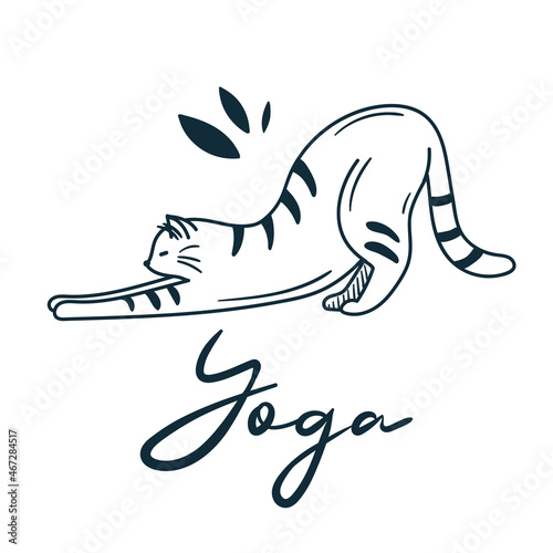 MobileInternational Yoga Day June 21 Doodle cat doing yoga. Yoga exercises, asanas, stretching. Yoga lover.