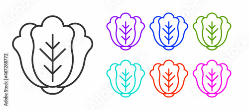 Black line Fresh cabbage vegetable icon isolated on white background. Set icons colorful. Vector