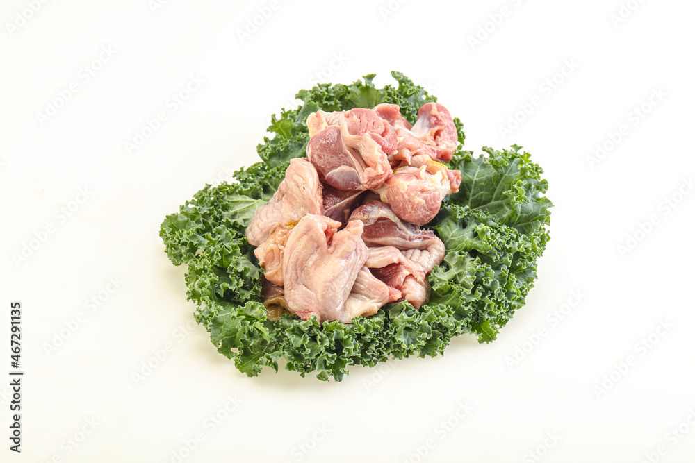 Raw chicken stomach for cooking Raw chicken stomach for cooking