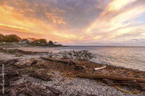 Burning Sunset Sky over Strait of Juan De Fuca and Pacific Ocean with Scattered Driftwood at Ross Bay Beach along Dallas Road, Victoria British Columbia Canada photo