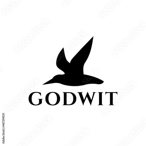 Gotwit bird in white background, flat minimalist vector logo design