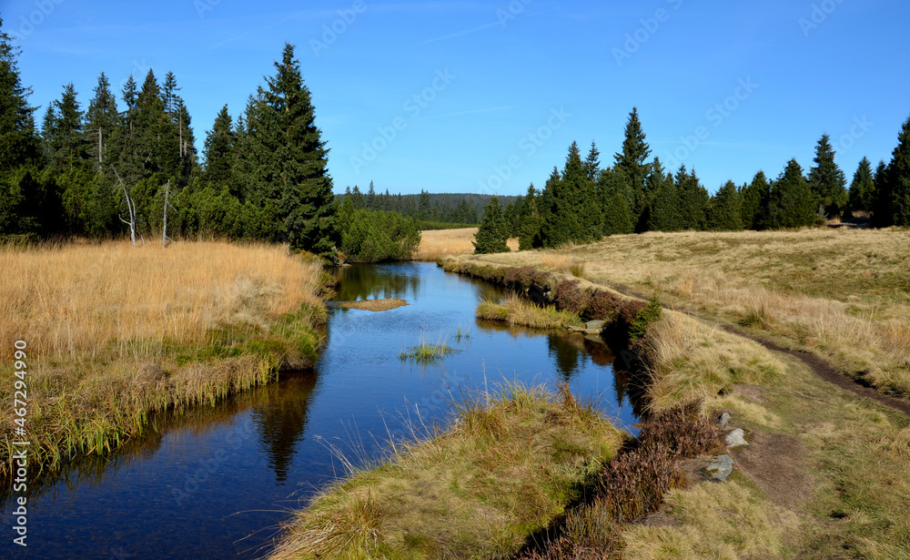 extensive stands of dwarf pines. it is the edge of a peat bog. lakes in the mountains have a large retention capacity. heathland plains in the highlands will have plenty of places to breed amphibians