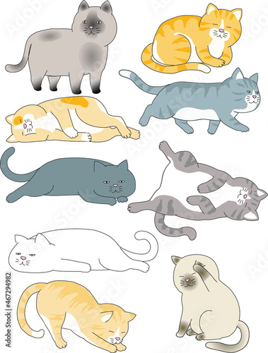 cat vector illustration screen logo