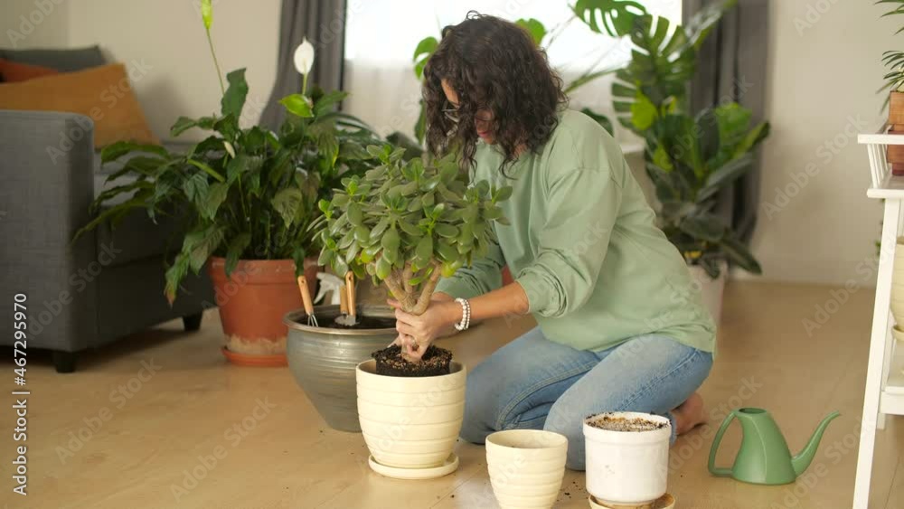 Hobby and interior concept. Attractive woman planting her houseplants in her room Hobby and interior concept. Attractive woman planting her houseplants in her room