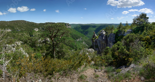 Gorges de la Dourbie - vue sur le Plateau du Larzac