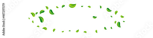 Olive Greens Ecology Vector Panoramic White