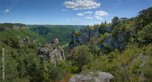 Gorges de la Dourbie