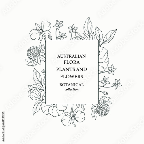 Sketch Australian native flowers frame