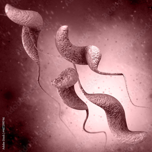 Medical background, bacteria spirilla, curved spiral shape, genus Campylobacter, C. jejuni, C. coli cause enterocolitis, pathogen, causative agent of intestinal diseases, 3D rendering photo