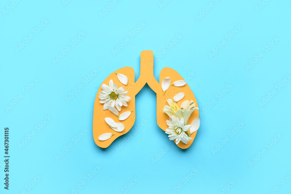 Paper lungs with fresh flowers on blue background Paper lungs with fresh flowers on blue background