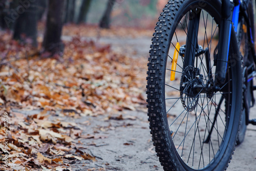 front wheel of a mountain bike. Mountain bike. stands on a forest road. concept of cycling, repair or breakage, sports, outdoor activities. bike on trail, front wheel in focus. space for text © Oleksandr Filatov