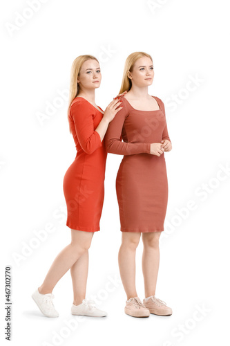 Beautiful twin sisters in stylish dresses on white background