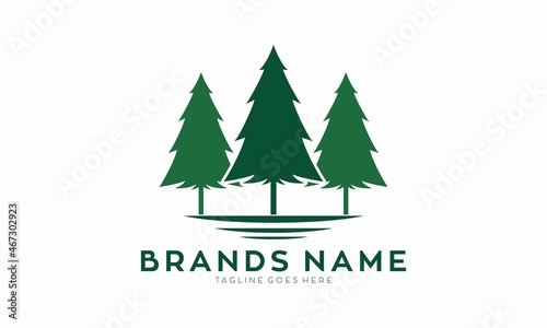 Spruce illustration vector logo