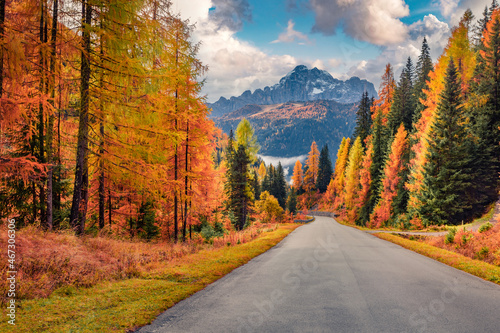 Colorful morning view of asphalt road in mountain forest. Impressive autumn scene of Dolomite Alps, Cortina d'Ampezzo location, Italy, Europe. Traveling concept background..