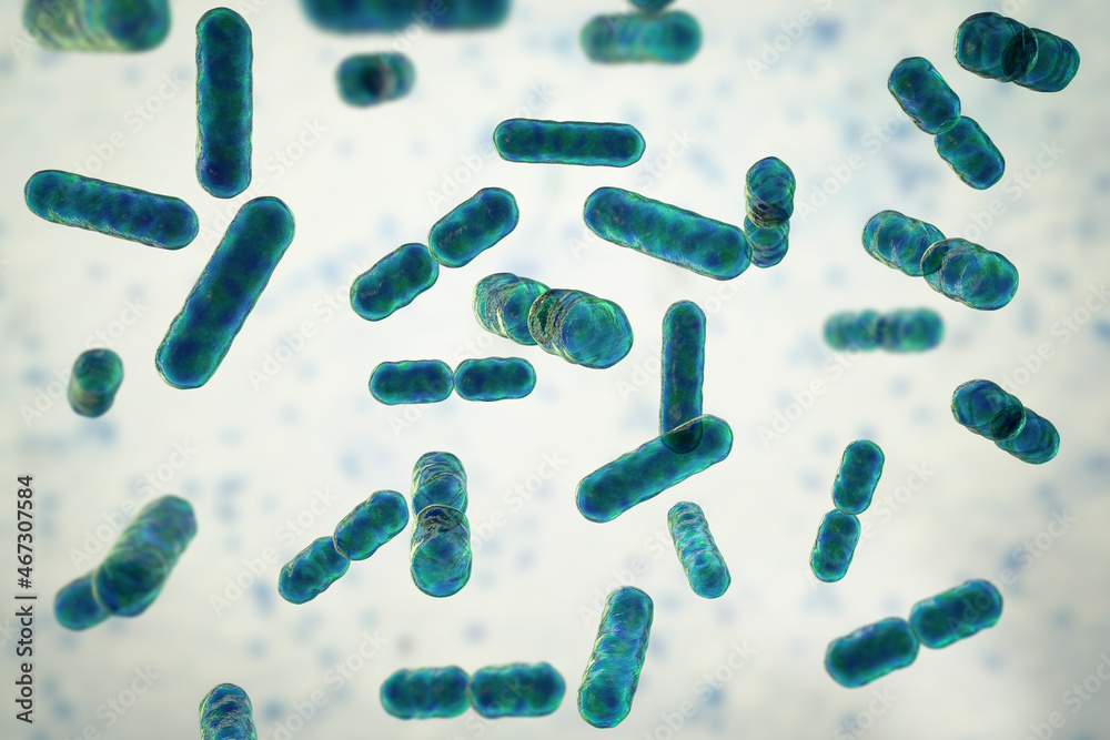 Bacteria Bacteroides, 3D illustration Bacteria Bacteroides, 3D illustration