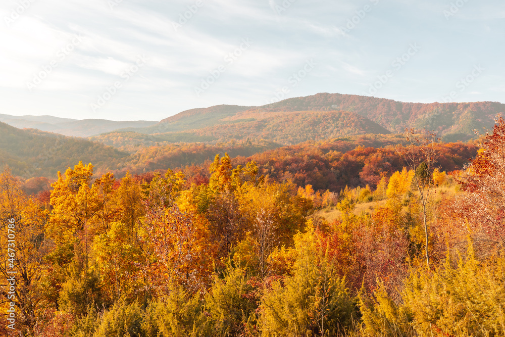 Fototapeta premium October autumn colours. Colourful Croatia