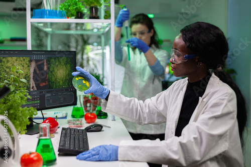 African american microbiologist researcher holding petri dish with liquid bacteria working at pharmacology experiment in biological laboratory. Biologist scientist analyzing cell culture of fungi photo