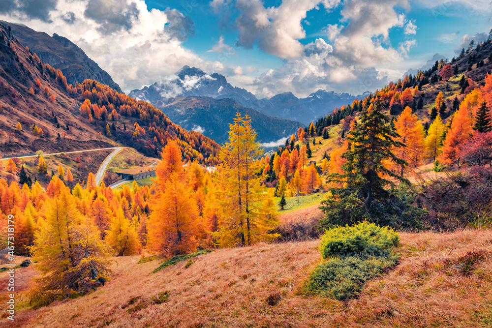 Exciting autumn view of Dolomite Alps with yellow larch trees and winding road on background. Colorful morning scene of mountains. Giau pass location, Italy, Europe.