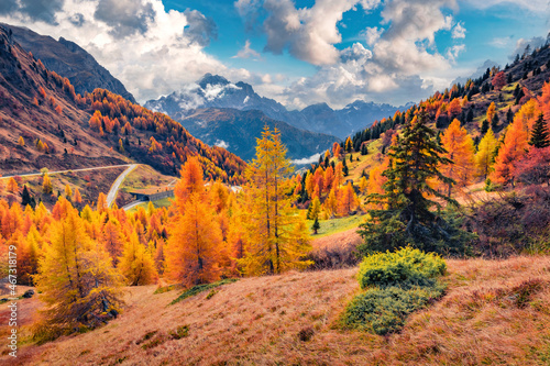 Exciting autumn view of Dolomite Alps with yellow larch trees and winding road on background. Colorful morning scene of mountains. Giau pass location, Italy, Europe.