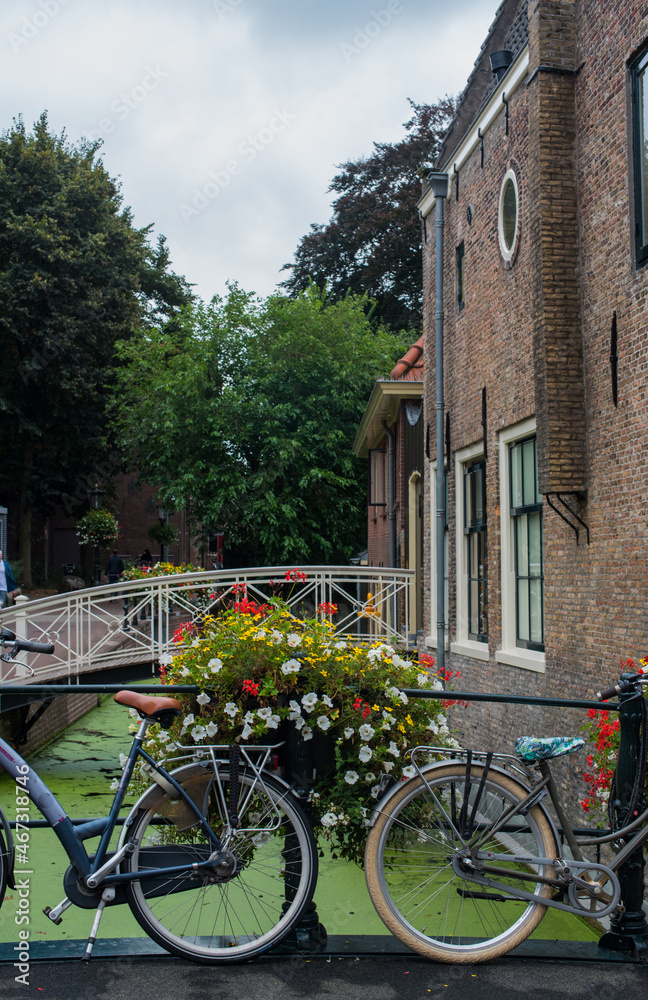 bicycles and flowers in dutch town