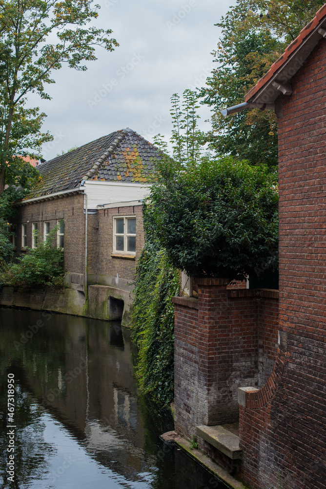 Fototapeta premium house and garden on the canal 