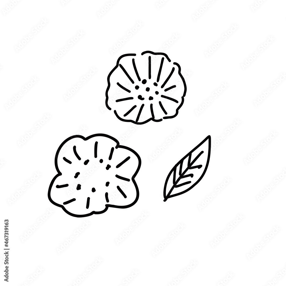 お花のイラスト素材 お花のイラスト素材