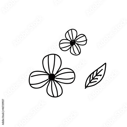 お花のイラスト素材