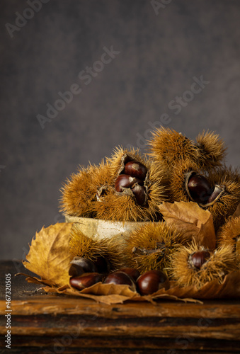 Obraz na płótnie Still life of chestnuts and chestnut fruits on wooden table against black backgr