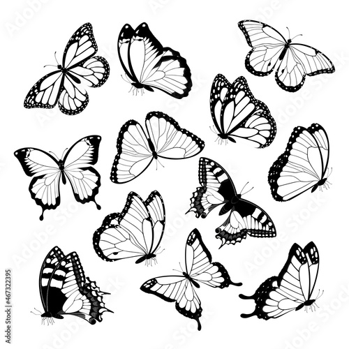 Black and white flying butterflies. Isolated on white background. Illustration. 