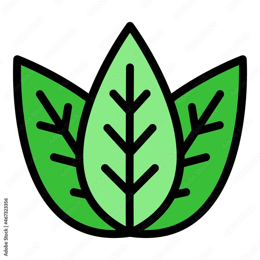 Basil aromatic icon. Outline basil aromatic vector icon color flat isolated Basil aromatic icon. Outline basil aromatic vector icon color flat isolated