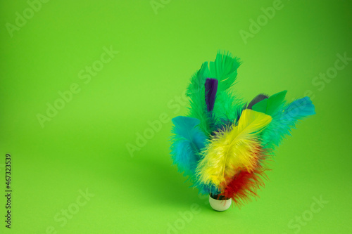 Colorful badminton wtih cool plumage. Green background.