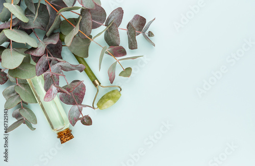 Eucalyptus composition. Pattern made of various colorful flowers on white background. Flat lay stiil life. photo